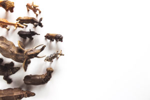 Realistic miniature animal replicas.
